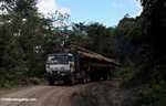 Logging truck carrying timber out of the Malaysian rainforest