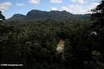Borneo Rainforest Lodge at Danum Valley