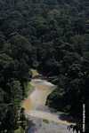 Danum river in Borneo