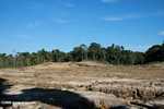 Deforestation in Sabang