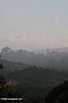 Haze rising from an oil palm plantation established on former rainforest land