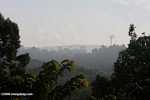 Haze over an oil palm plantation established on former rainforest land
