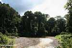 Danum river in Borneo