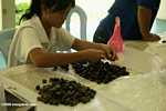 Oil palm fruit selection for breeding program to improve yields