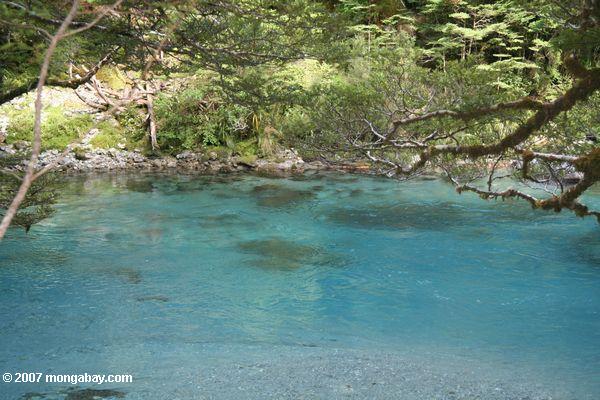 Azul waters of the Dart River