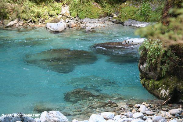 Turquoise waters of the Dart River
