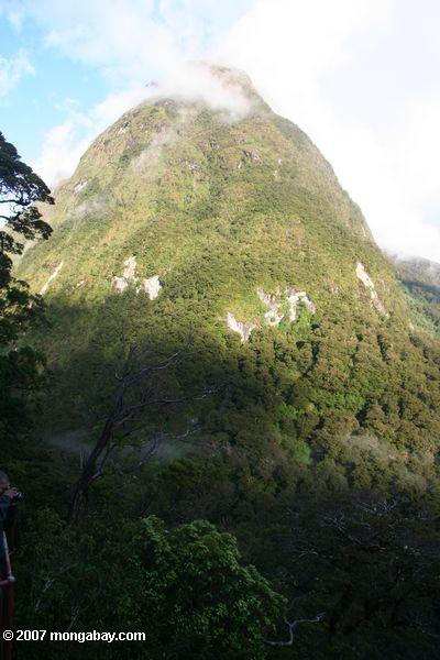 Mountain in Milford Sound