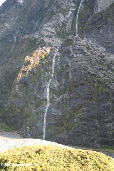 Waterfall in the Milford Valley