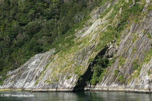 Rock wall in Milford Sound