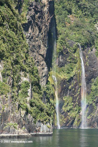 Waterfalls in Milford Sound