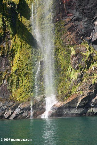 Rainbow and Waterfalls in Milford Sound