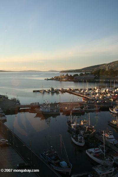 Sailboats at Hobart