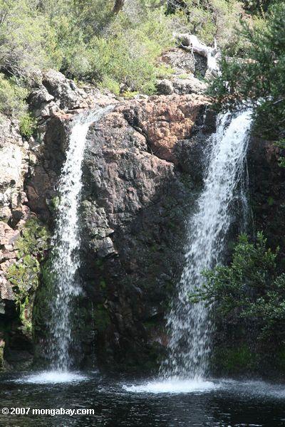 Waterfalls at Cradle Mountain