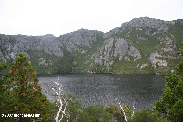 Cradle mountain, Tasmania