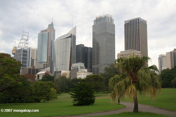 Downtown Sydney as seen from a park